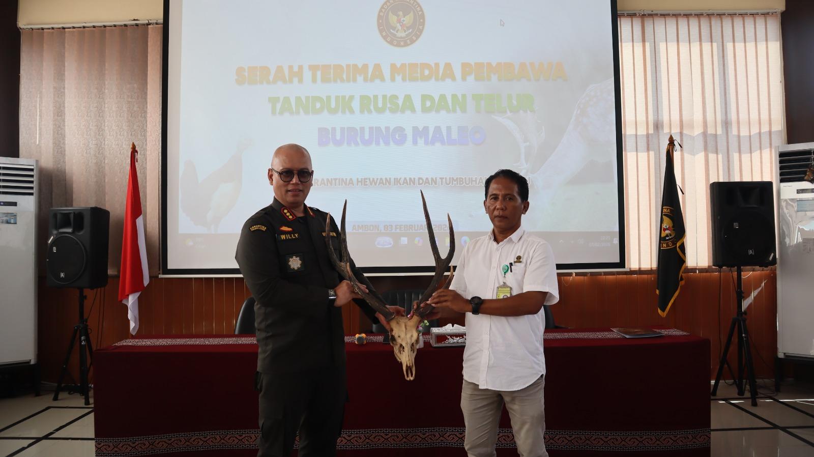 Karantina Maluku Tegaskan Komitmen Lindungi Satwa Dilindungi