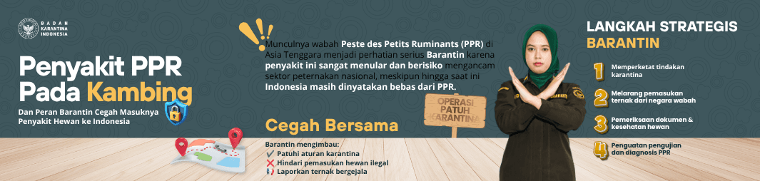 Penyakit PPR pada Kambing