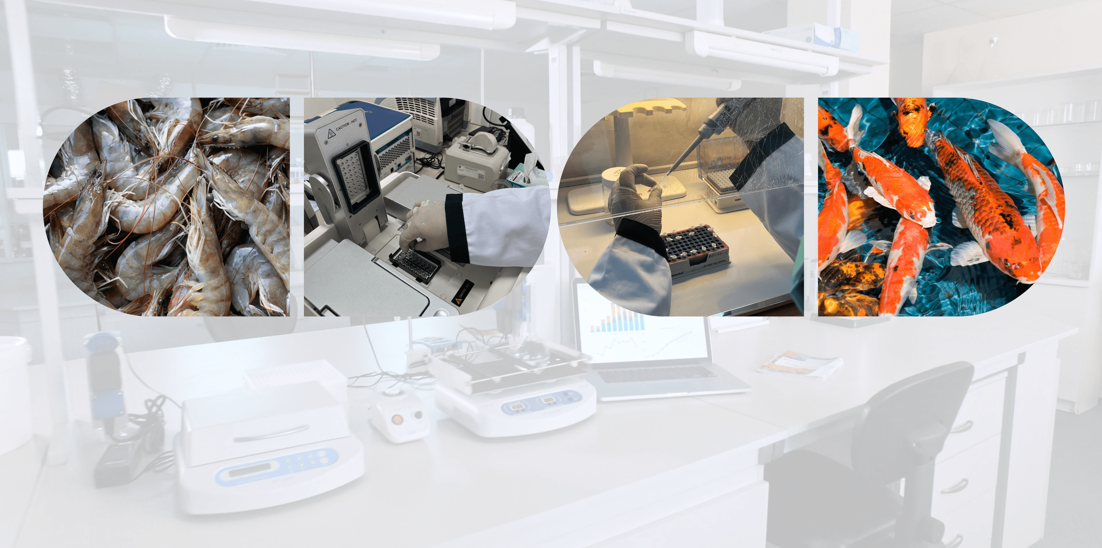 LABORATORIUM