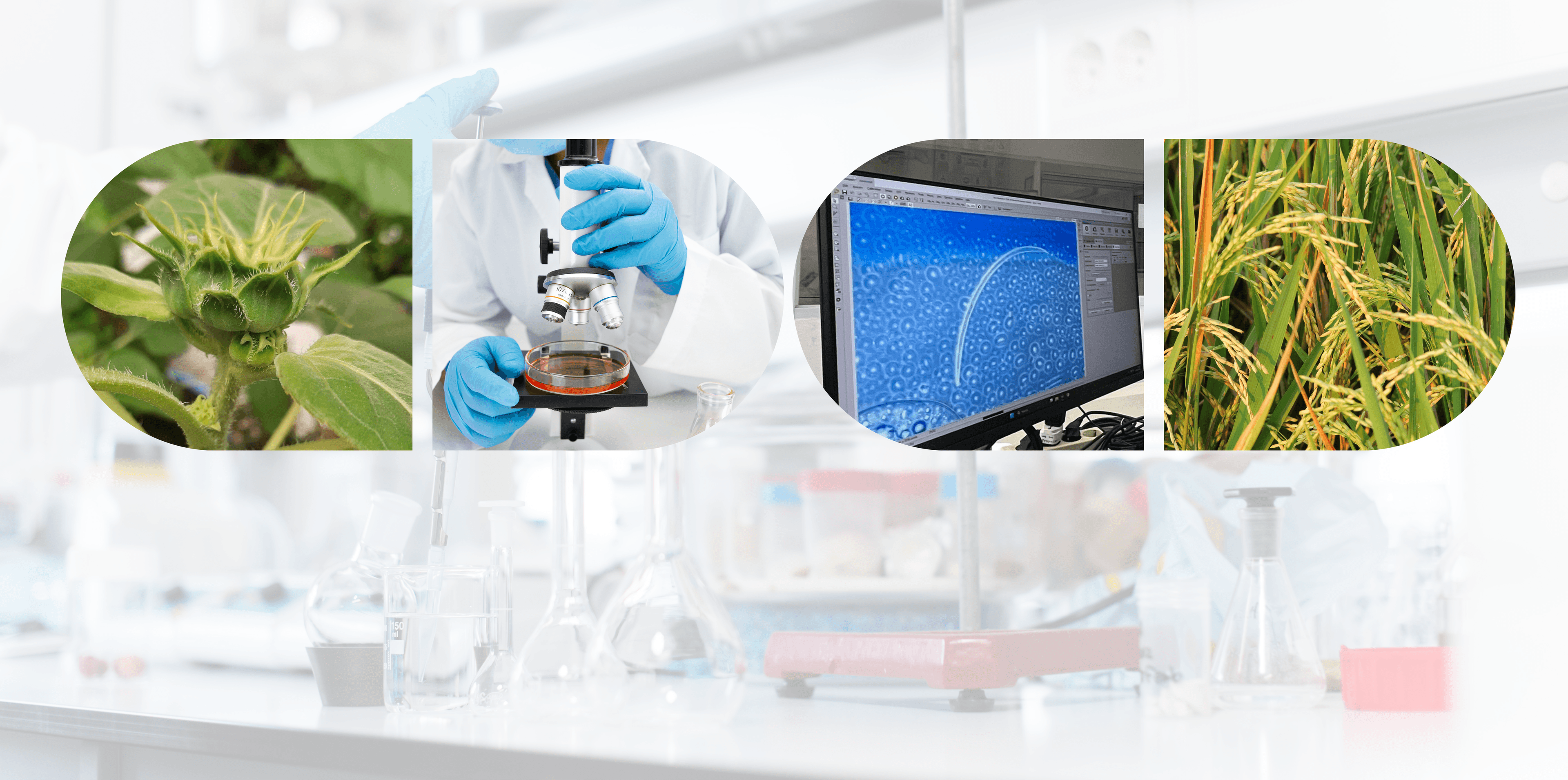 LABORATORIUM