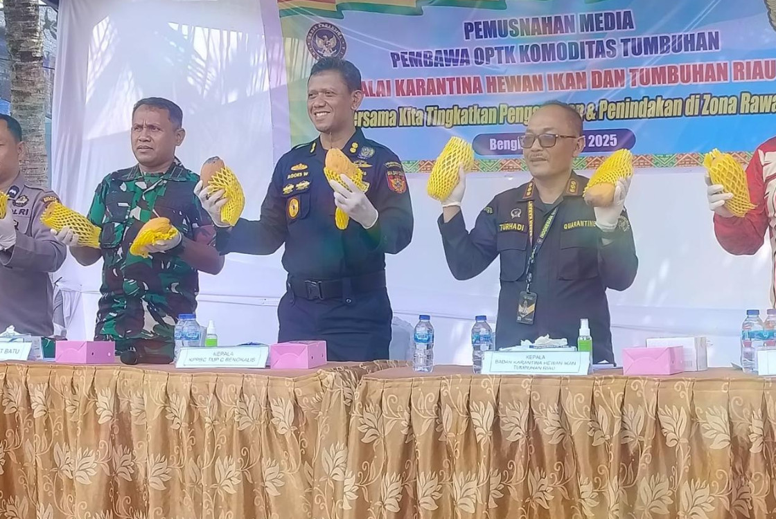 Foto Berita