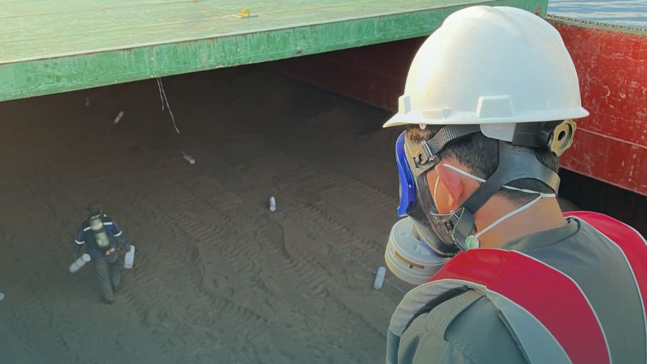 3.200 Ton Bungkil Sawit di Ekspor Menuju China, Karantina Sulbar Awasi Proses Fumigasi - Badan Karantina Indonesia