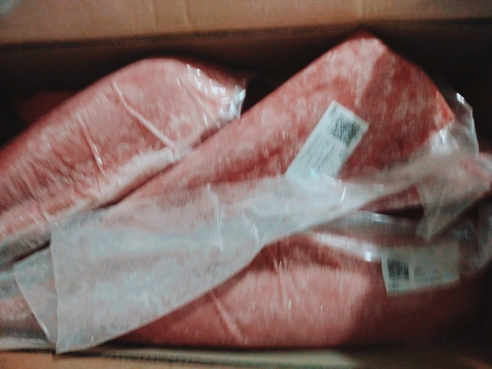 Tuna Loin Maluku Senilai Rp3,39 Miliar Tembus Vietnam, Barantin Pastikan Persyaratan Terpenuhi 2