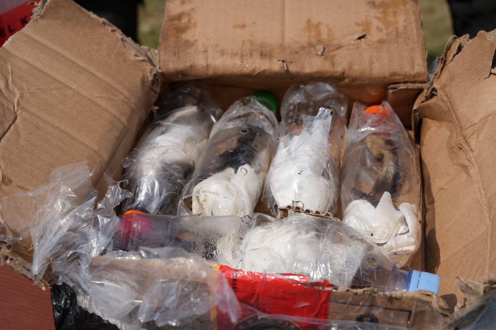 botol plastik isi