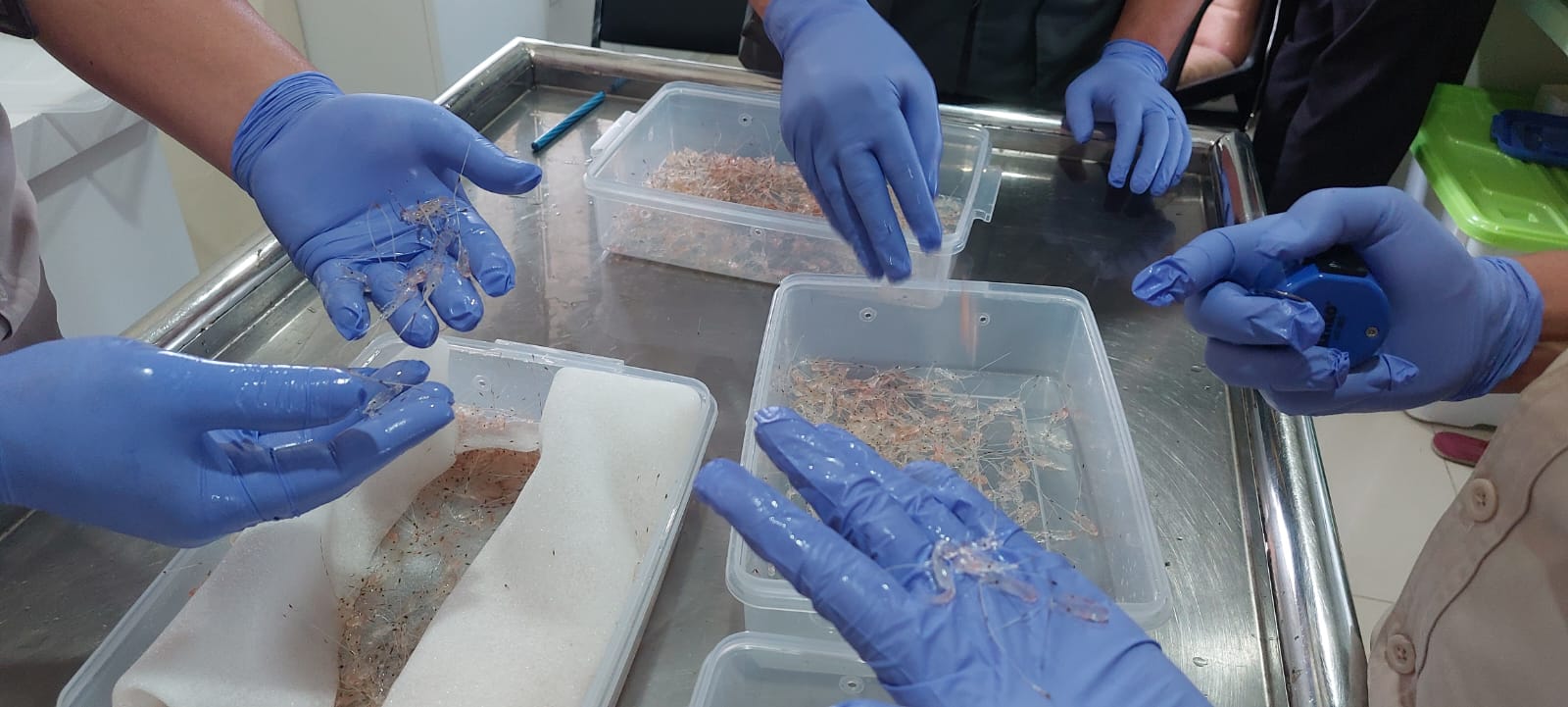 WhatsApp Image 2026-03-02 at 13.24.24