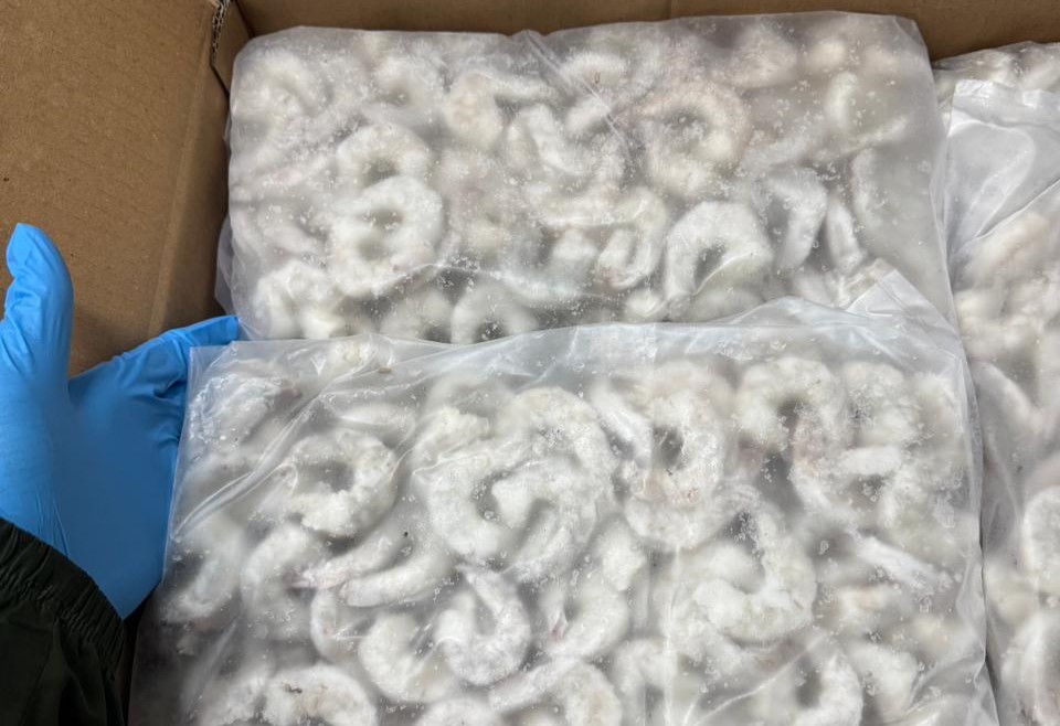 WhatsApp Image 2026-04-09 at 12.01.07 (2)